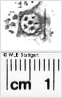 Image Description for https://www.hist-einband.de/Bilder/WLB/MIG/images/s0271421.jpg