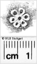 Image Description for https://www.hist-einband.de/Bilder/WLB/MIG/images/s0271510.jpg
