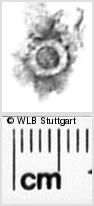 Image Description for https://www.hist-einband.de/Bilder/WLB/MIG/images/s0271613.jpg