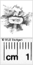 Image Description for https://www.hist-einband.de/Bilder/WLB/MIG/images/s0271618.jpg