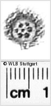 Image Description for https://www.hist-einband.de/Bilder/WLB/MIG/images/s0272106.jpg
