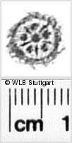 Image Description for https://www.hist-einband.de/Bilder/WLB/MIG/images/s0272111.jpg