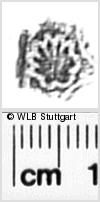 Image Description for https://www.hist-einband.de/Bilder/WLB/MIG/images/s0272113.jpg