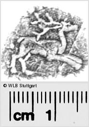 Image Description for https://www.hist-einband.de/Bilder/WLB/MIG/images/s0280615.jpg