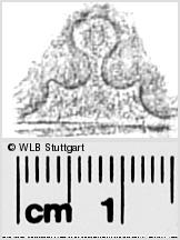 Image Description for https://www.hist-einband.de/Bilder/WLB/MIG/images/s0281019.jpg