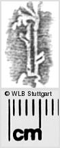 Image Description for https://www.hist-einband.de/Bilder/WLB/MIG/images/s0281710.jpg
