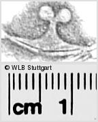 Image Description for https://www.hist-einband.de/Bilder/WLB/MIG/images/s0281947.jpg