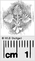 Image Description for https://www.hist-einband.de/Bilder/WLB/MIG/images/s0282158.jpg