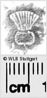 Image Description for https://www.hist-einband.de/Bilder/WLB/MIG/images/s0282411.jpg