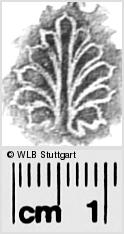 Image Description for https://www.hist-einband.de/Bilder/WLB/MIG/images/s0282422.jpg
