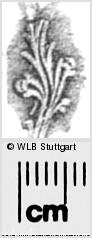 Image Description for https://www.hist-einband.de/Bilder/WLB/MIG/images/s0283116.jpg