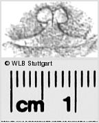 Image Description for https://www.hist-einband.de/Bilder/WLB/MIG/images/s0283615.jpg