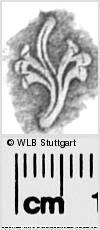 Image Description for https://www.hist-einband.de/Bilder/WLB/MIG/images/s0283617.jpg