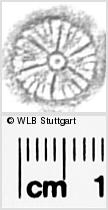 Image Description for https://www.hist-einband.de/Bilder/WLB/MIG/images/s0283804.jpg