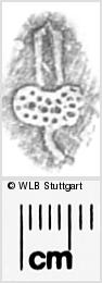 Image Description for https://www.hist-einband.de/Bilder/WLB/MIG/images/s0283808.jpg