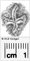 Image Description for https://www.hist-einband.de/Bilder/WLB/MIG/images/s0283818.jpg