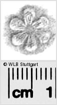 Image Description for https://www.hist-einband.de/Bilder/WLB/MIG/images/s0284325.jpg
