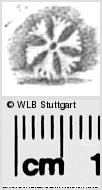 Image Description for https://www.hist-einband.de/Bilder/WLB/MIG/images/s0284715.jpg