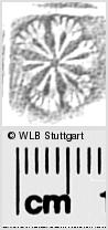 Image Description for https://www.hist-einband.de/Bilder/WLB/MIG/images/s0284830.jpg