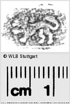Image Description for https://www.hist-einband.de/Bilder/WLB/MIG/images/s0285612.jpg