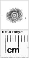 Image Description for https://www.hist-einband.de/Bilder/WLB/MIG/images/s0286216.jpg