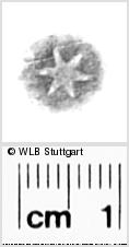Image Description for https://www.hist-einband.de/Bilder/WLB/MIG/images/s0286220.jpg