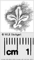 Image Description for https://www.hist-einband.de/Bilder/WLB/MIG/images/s0286414.jpg