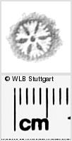 Image Description for https://www.hist-einband.de/Bilder/WLB/MIG/images/s0287710.jpg