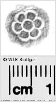 Image Description for https://www.hist-einband.de/Bilder/WLB/MIG/images/s0288222.jpg
