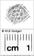 Image Description for https://www.hist-einband.de/Bilder/WLB/MIG/images/s0288414.jpg