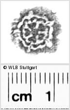 Image Description for https://www.hist-einband.de/Bilder/WLB/MIG/images/s0288415.jpg