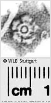 Image Description for https://www.hist-einband.de/Bilder/WLB/MIG/images/s0291144.jpg