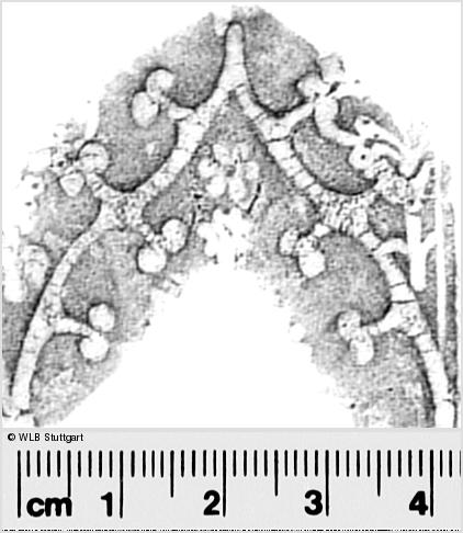 Image Description for https://www.hist-einband.de/Bilder/WLB/MIG/images/s0291478.jpg