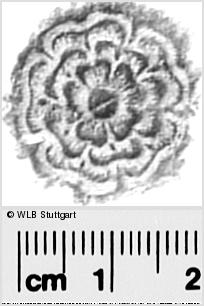 Image Description for https://www.hist-einband.de/Bilder/WLB/MIG/images/s0291605.jpg