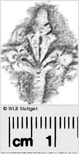 Image Description for https://www.hist-einband.de/Bilder/WLB/MIG/images/s0291609.jpg