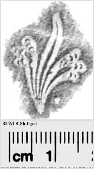 Image Description for https://www.hist-einband.de/Bilder/WLB/MIG/images/s0291610.jpg