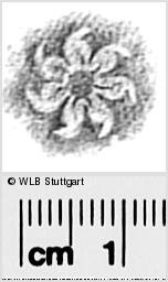 Image Description for https://www.hist-einband.de/Bilder/WLB/MIG/images/s0291835.jpg