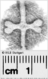 Image Description for https://www.hist-einband.de/Bilder/WLB/MIG/images/s0293912.jpg