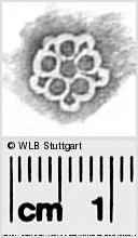 Image Description for https://www.hist-einband.de/Bilder/WLB/MIG/images/s0293922.jpg