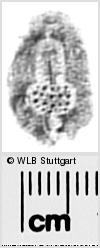 Image Description for https://www.hist-einband.de/Bilder/WLB/MIG/images/s0294329.jpg