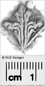 Image Description for https://www.hist-einband.de/Bilder/WLB/MIG/images/s0295007.jpg