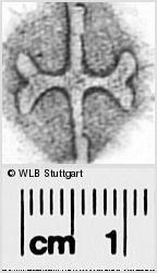 Image Description for https://www.hist-einband.de/Bilder/WLB/MIG/images/s0295136.jpg