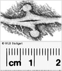 Image Description for https://www.hist-einband.de/Bilder/WLB/MIG/images/s0296109.jpg