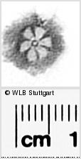 Image Description for https://www.hist-einband.de/Bilder/WLB/MIG/images/s0296112.jpg