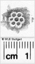 Image Description for https://www.hist-einband.de/Bilder/WLB/MIG/images/s0311033.jpg