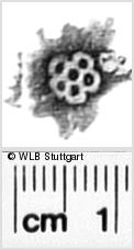Image Description for https://www.hist-einband.de/Bilder/WLB/MIG/images/s0311114.jpg