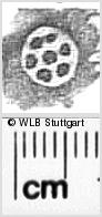 Image Description for https://www.hist-einband.de/Bilder/WLB/MIG/images/s0313807.jpg