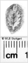 Image Description for https://www.hist-einband.de/Bilder/WLB/MIG/images/s0330108.jpg