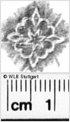Image Description for https://www.hist-einband.de/Bilder/WLB/MIG/images/s0330913.jpg