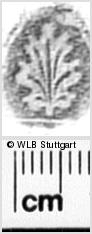 Image Description for https://www.hist-einband.de/Bilder/WLB/MIG/images/s0331112.jpg